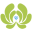 Acupunctuur Eindhoven &amp; Best