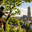 Almere Boomverzorging