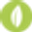 Amsterdam Chiropractie &amp; Wellness