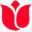 Autorijschool De Tulp