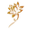 Ayurveda Instituut Het