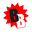 Bebo parket
