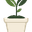 Betaalbareplanten.nl