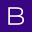 BIS BV