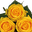 Bloemengroothandel W J van Egmond