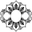 Blossom Body yoga Bos en Lommer