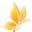 Body &amp; Beauty Medisch Pedicure