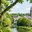 Boomverzorging IJsselstein