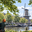 Boomverzorging Schiedam