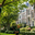 Boomverzorging Voorburg