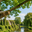 Boomverzorging Waddinxveen