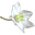 Business Flowers zwolle