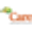 care cleaning &amp; services