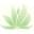Cheung wellness and care