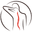 Chiropractie Hilversum