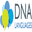 DNA Languages