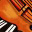 Elizabeth Cats Viool &amp; Muziek