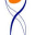 Ernst Cesar Oefentherapie J T M