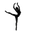 Flex Balletstudio