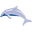 Flipper Watersport