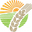 FoodCo &amp; More