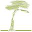 Foreest Groen Consult