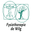 Fysiotherapie Praktijk De Wilg