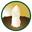Goertz Asperges
