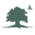 Grafsteen Advies Apeldoorn