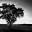 Hans Jansen Music