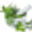 Homeopathie Amsterdam