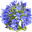 Hoveniersbedrijf De Agapanthus