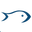 Interseafish BV