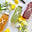 JuiceXpress