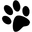 Kattenpension Snorrebaard