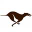 Koeriersbedrijf Greyhound