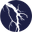 Lightning Video Editors