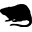 Muskusratten Beheer