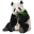 Panda Paints
