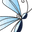 Pentakel Coaching, Training en Advies