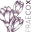 Praecox BV Tuinaanleg &amp; Onderhoud