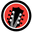 Rockology Gitaarles Zevenaar