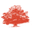 Rode Beuk Tuincentrum De