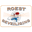 Roest Beveiliging BV