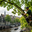 Rotterdam Boomverzorging