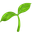 Sproutz