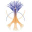 Stichting Ygdrasil