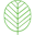 Ten Brinke Interieurbeplanting