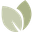 The Breeze Homeopathie