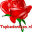 Topbedankjes